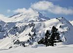 Explore Mount Baker Wilderness, Washington
