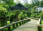 Visit Garden of Cultivation, Suzhou, China (UNESCO site)