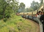 Ride the Kangra Valley Railway, India