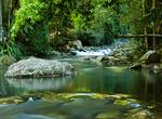 Explore Springbrook National Park, Queensland, Australia (UNESCO site)