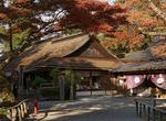 See Yoshimizu Shrine, Nara, Japan (UNESCO site)