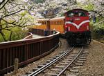 Ride Alishan Forest Railway, Taiwan