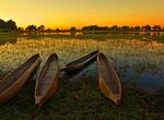 Travel in a Mokoro on Okavango Delta, Botswana