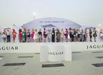 Attend Dubai World Cup, UAE