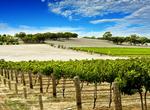 Wine Tasting in Barossa Valley, Australia