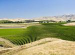 Wine Tasting in Marlborough, New Zealand