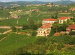 Wine Tasting in Piedmont Province, Italy