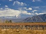 Wine Tasting in Mendoza, Argentina