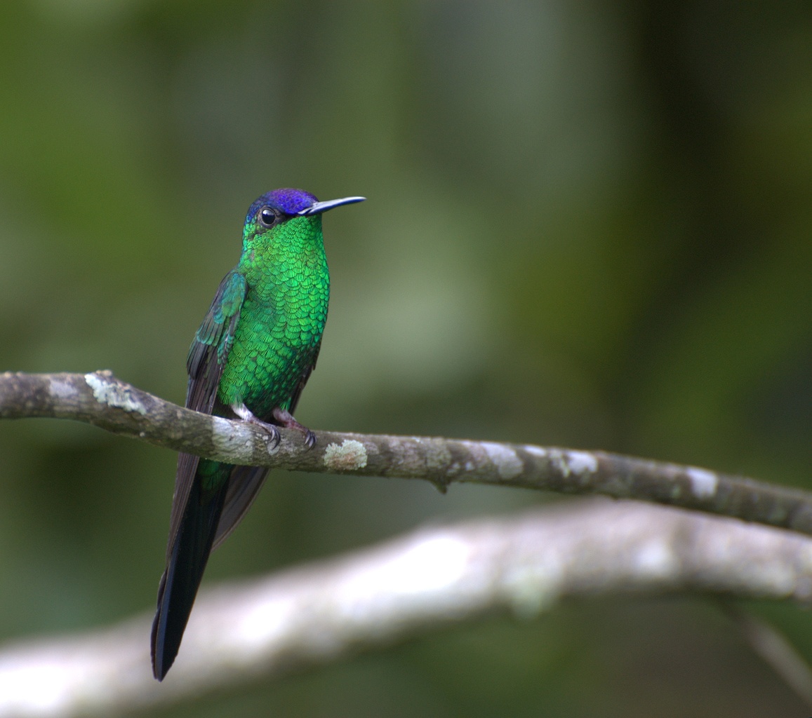 Los Katíos National Park