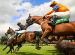 Attend Grand National, England