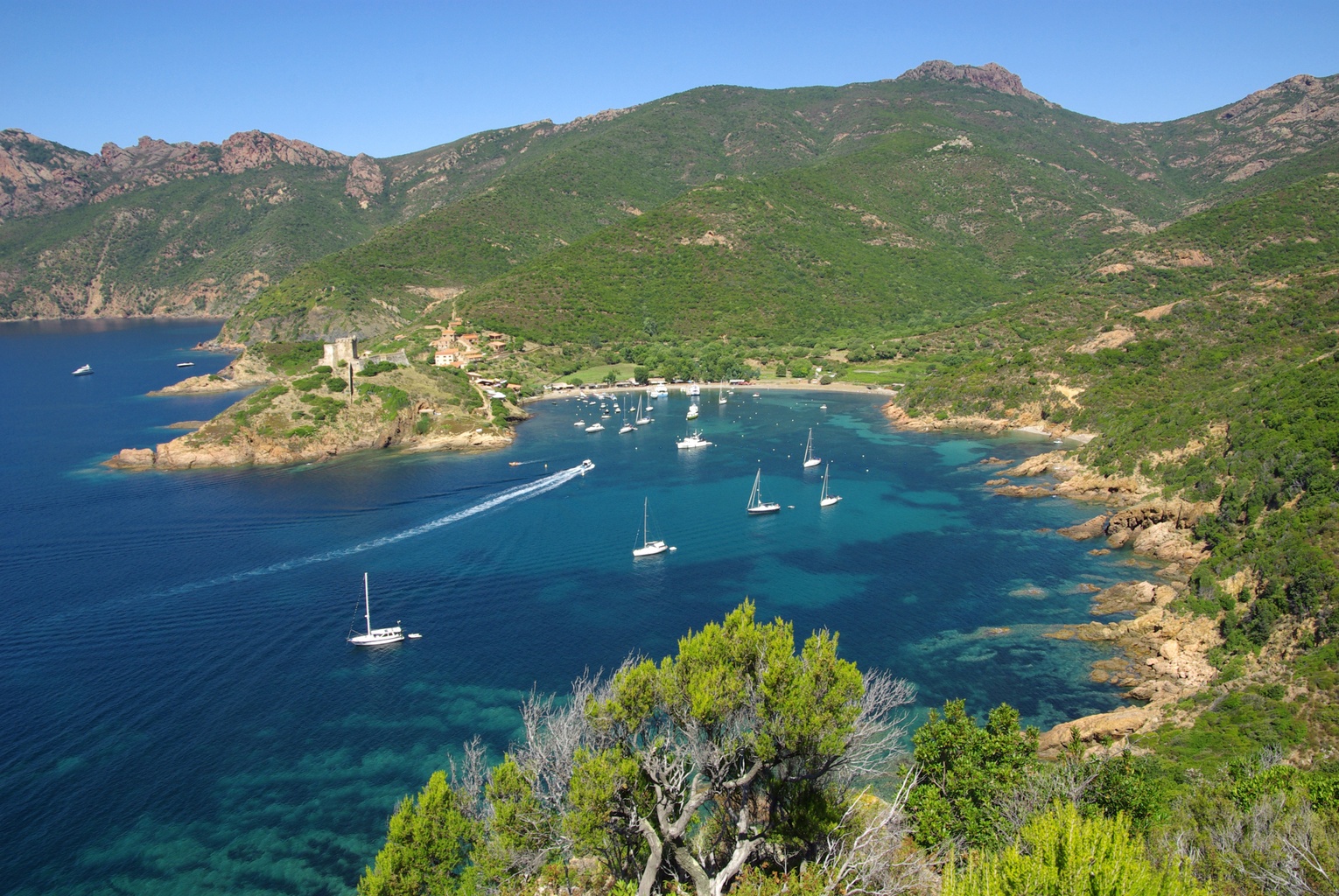 CORSICA MK 1067B main image 1