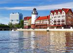 Visit Kaliningrad