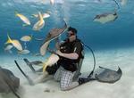 Dive Stingray City, Grand Cayman