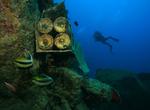Dive a Shipwreck