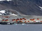 Visit Argentine Antarctica (Palmer Peninsula), Antarctica