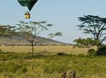 Ride Hot Air Balloon over Serengeti, Tanzania