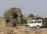 Visit Top 10 African Safari Parks