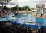 Visit SeaWorld Orlando, Florida