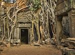 See Ta Prohm Temple, Cambodia