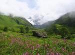 Explore Nanda Devi and Valley of Flowers National Parks, India (UNESCO site)