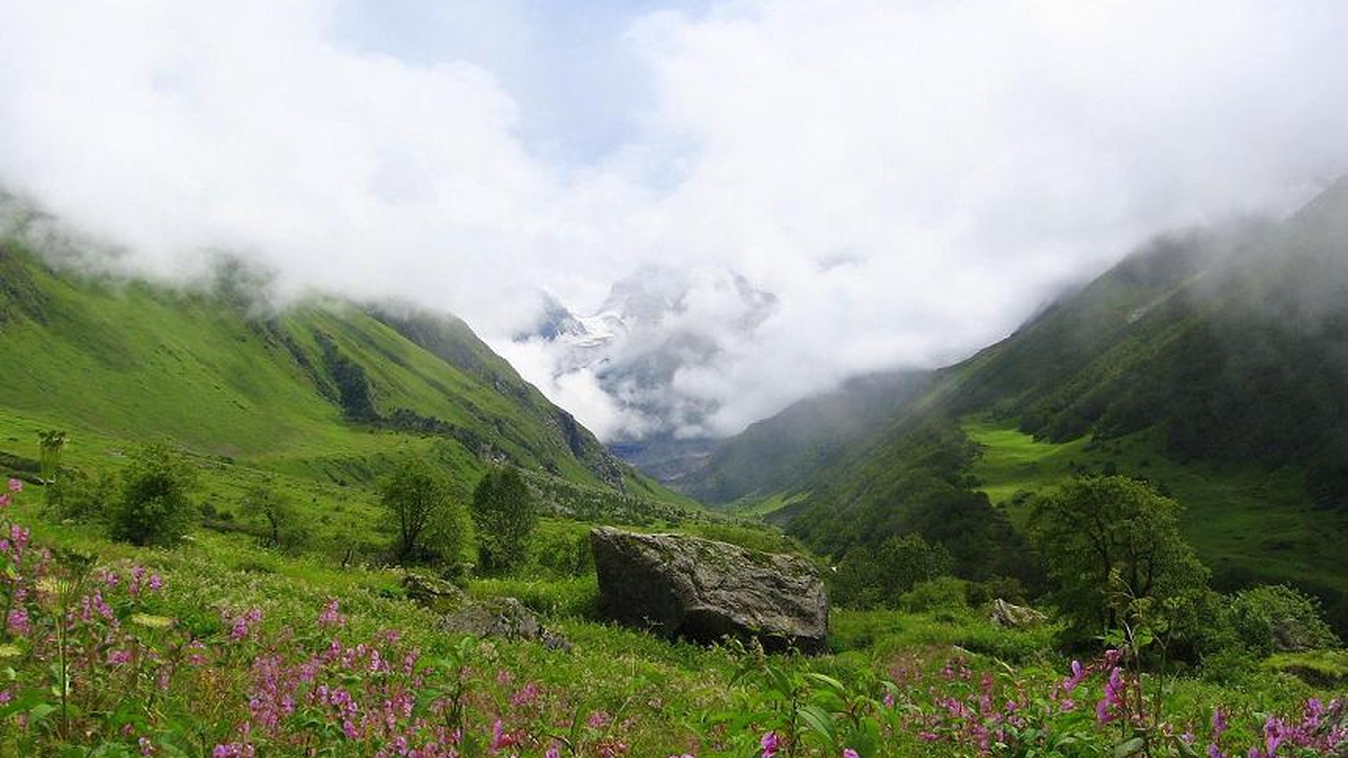 Nanda Devi and Valley of Flowers National Parks