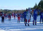 Attend Vasaloppet Ski Race, Sälen, Sweden