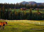Stay at Echo Valley (Dude) Ranch and Spa, Canada
