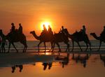 Ride Camel on Cable Beach, Western Australia
