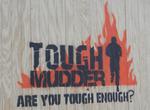 Run a Tough Mudder