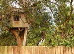 Build a Treehouse