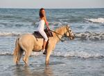 Ride Wild Horses in Camargue, France
