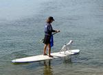 Go Paddle Boarding with My Dog