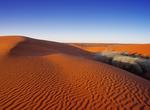Explore Munga-Thirri National Park (Simpson Desert), South Australia, Australia