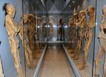 Visit the Guanajuato Mummy Museum, Mexico