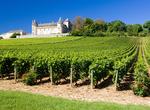 Cycle Route des Grands Crus, Burgundy, France