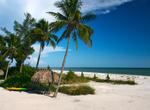 Visit Sanibel Island, Florida