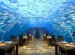 Dine Underwater at Ithaa Undersea Restaurant, Maldives