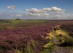 Explore North York Moors National Park, England