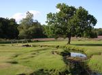 Explore New Forest National Park, England