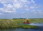 Explore Big Cypress National Preserve, Florida