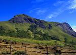 Summit Anamudi, Western Ghats, India (UNESCO Site)