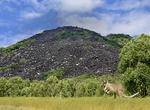 Explore Black Mountain (Kalkajaka) National Park, Queensland, Australia