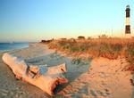Visit Fire Island National Seashore, New York