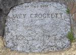 Visit Davy Crockett Birthplace State Park, Tennessee