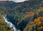 Explore Obed Wild and Scenic River, Tennessee