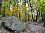 Explore Catoctin Mountain Park, Maryland