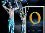 See Cirque du Soleil Show