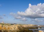 Explore Agulhas National Park, South Africa