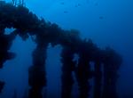 Wreck Dive RMS Rhone, British Virgin Islands