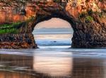 Explore Natural Bridges State Beach, Santa Cruz, California
